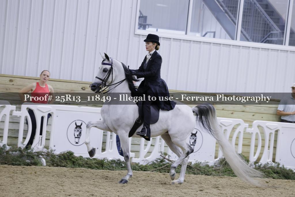 Proof 25R13_11849