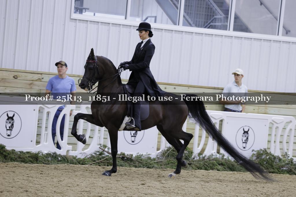 Proof 25R13_11851