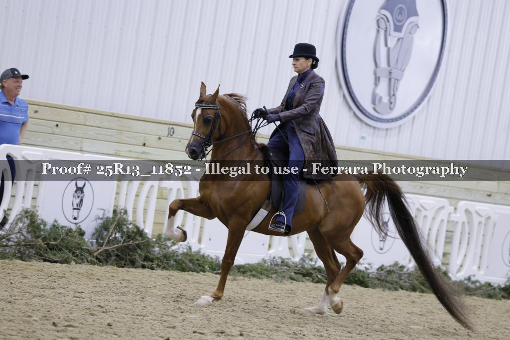 Proof 25R13_11852