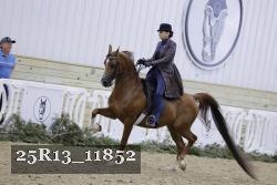 25R13_11852 proof
