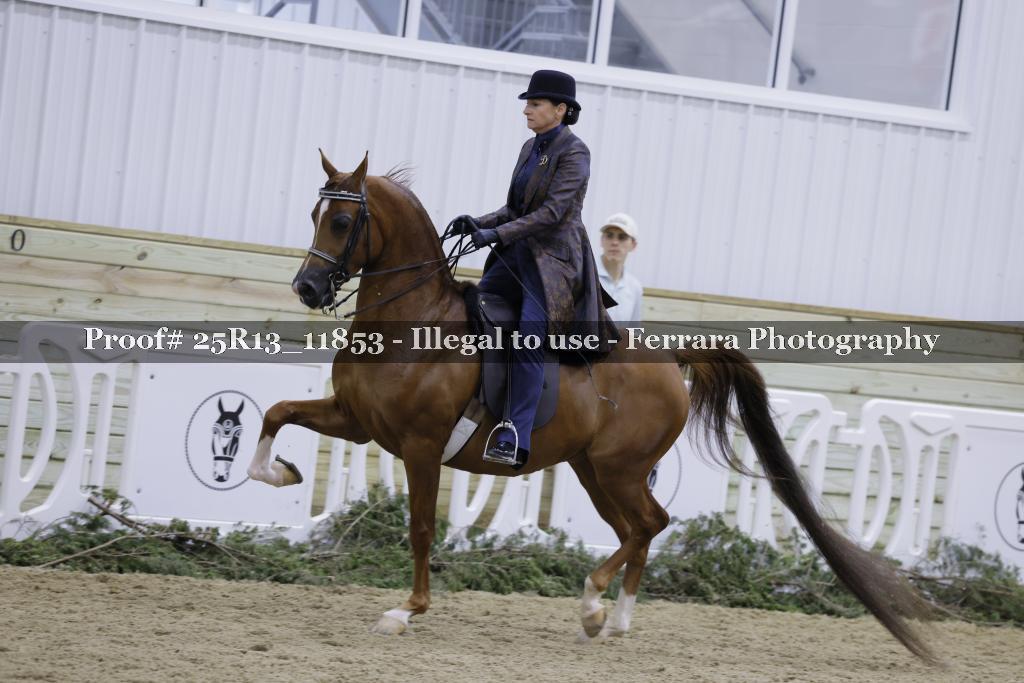 Proof 25R13_11853