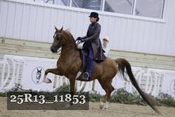 25R13_11853 proof