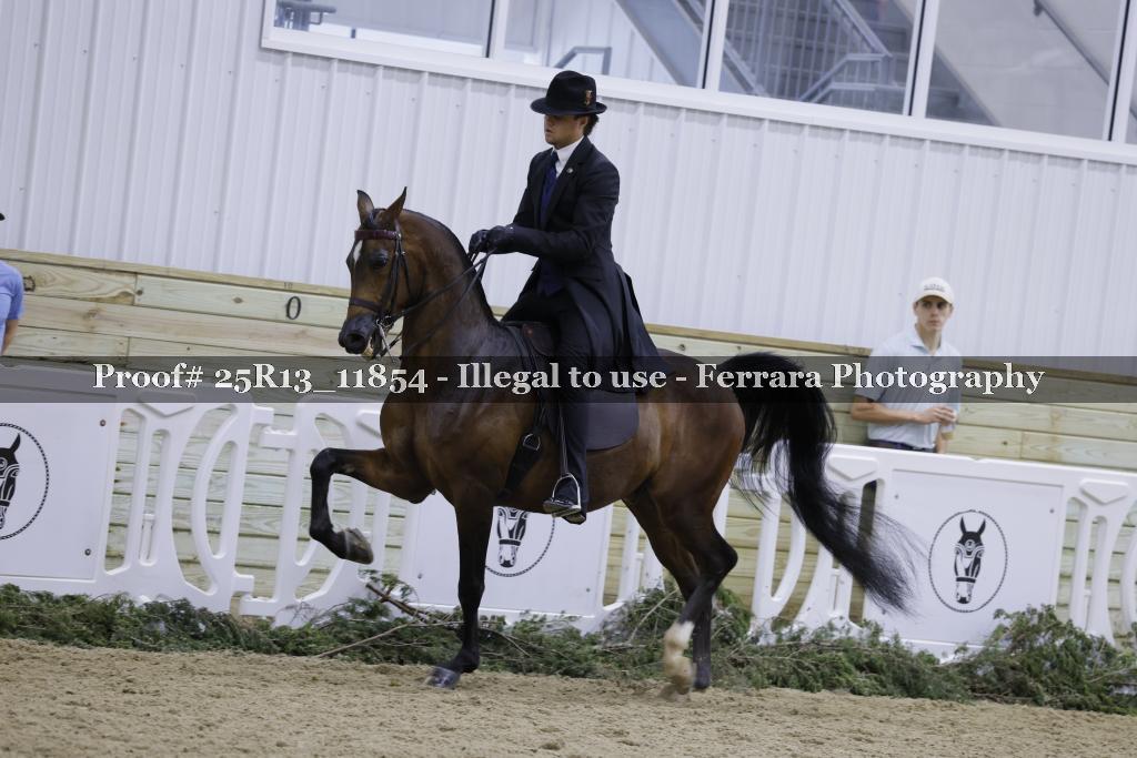 Proof 25R13_11854