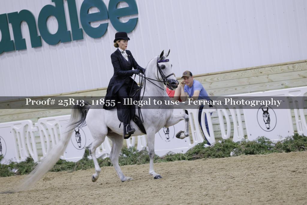 Proof 25R13_11855