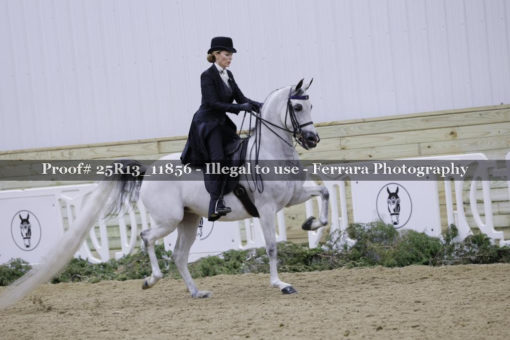 Proof 25R13_11856