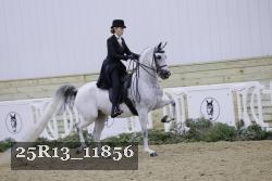 25R13_11856 proof