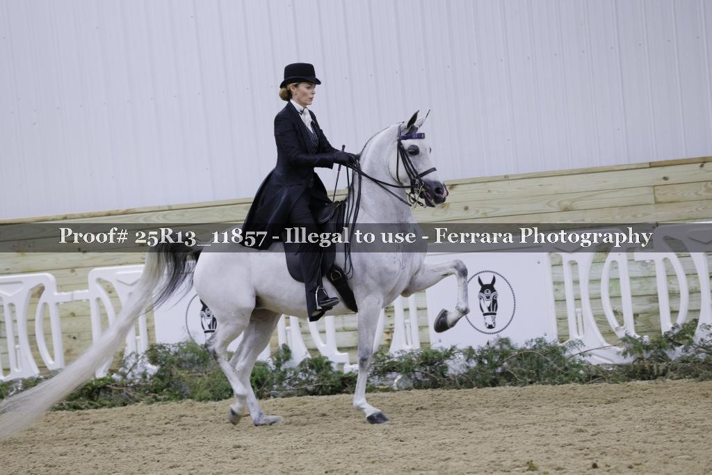 Proof 25R13_11857