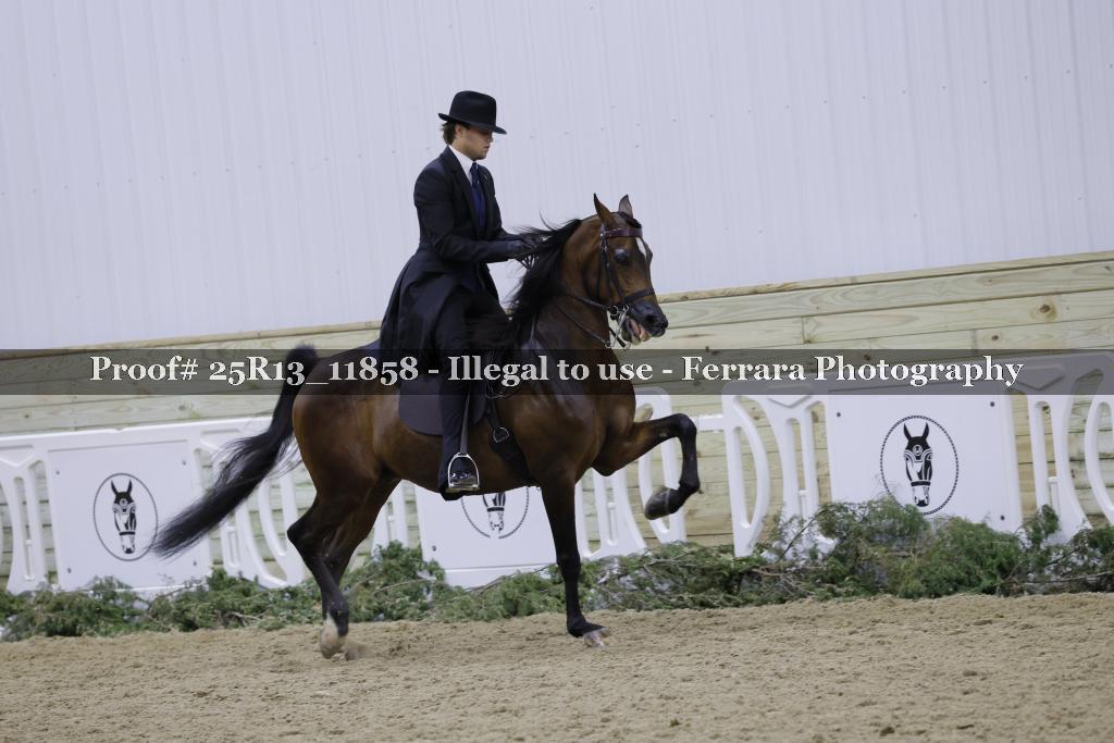 Proof 25R13_11858