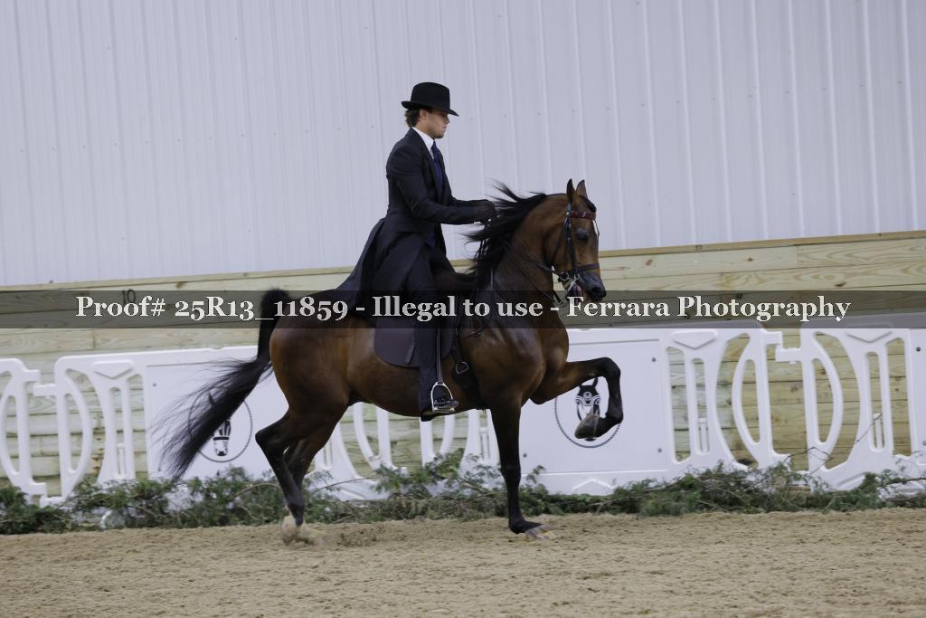 Proof 25R13_11859