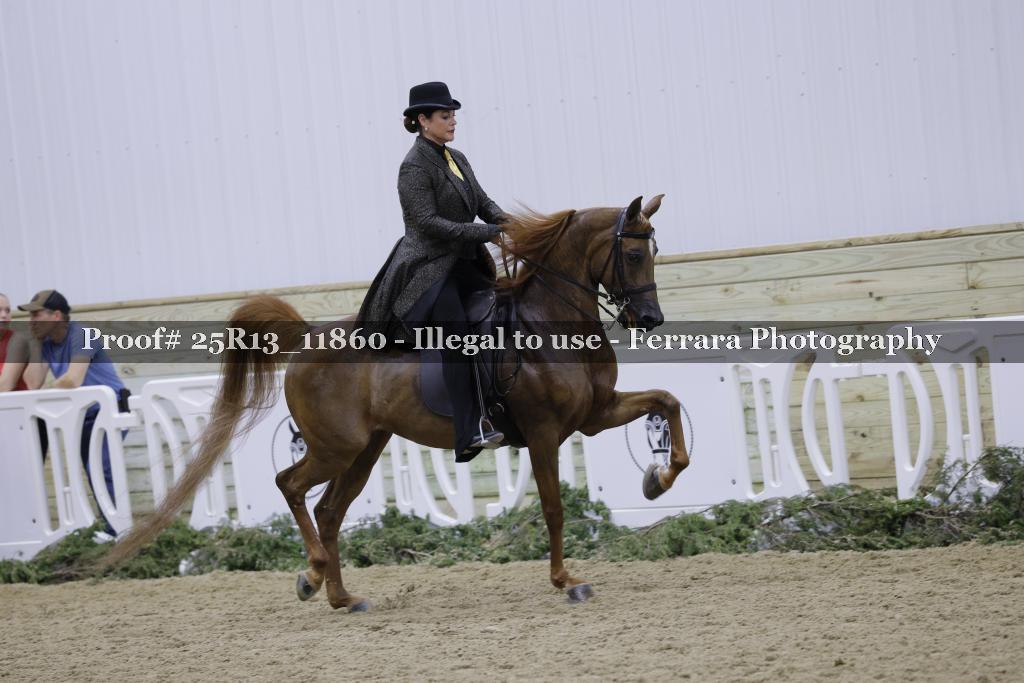 Proof 25R13_11860