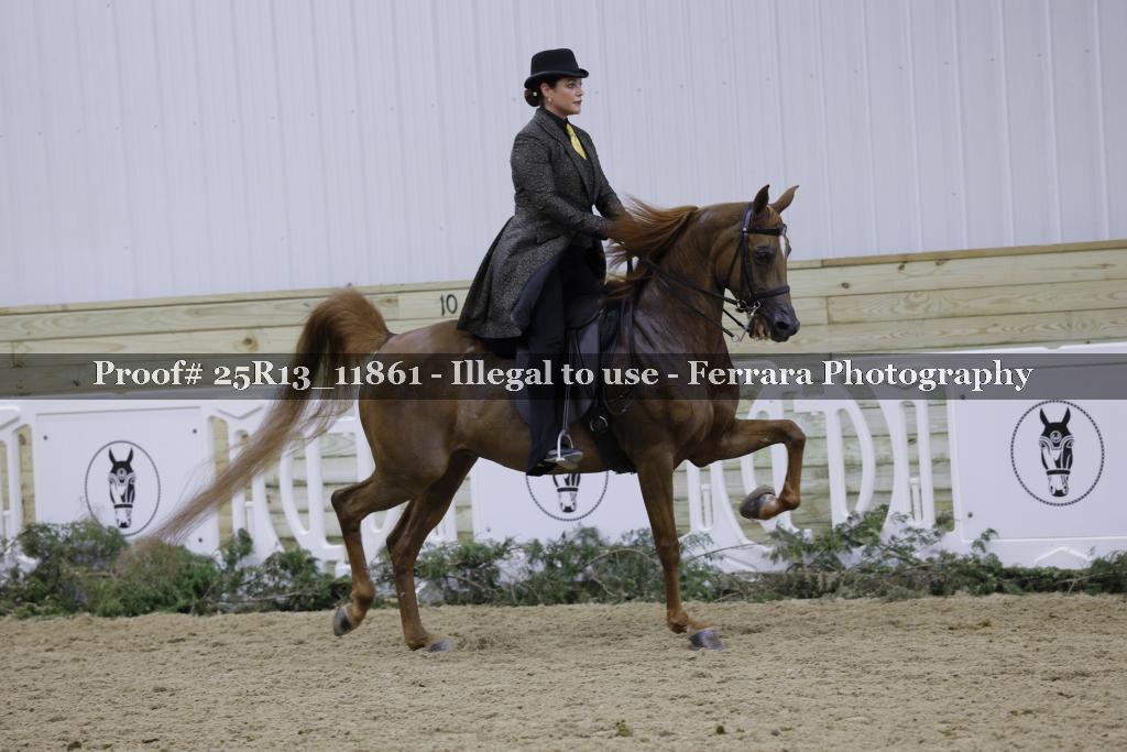 Proof 25R13_11861