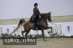 25R13_11861 proof