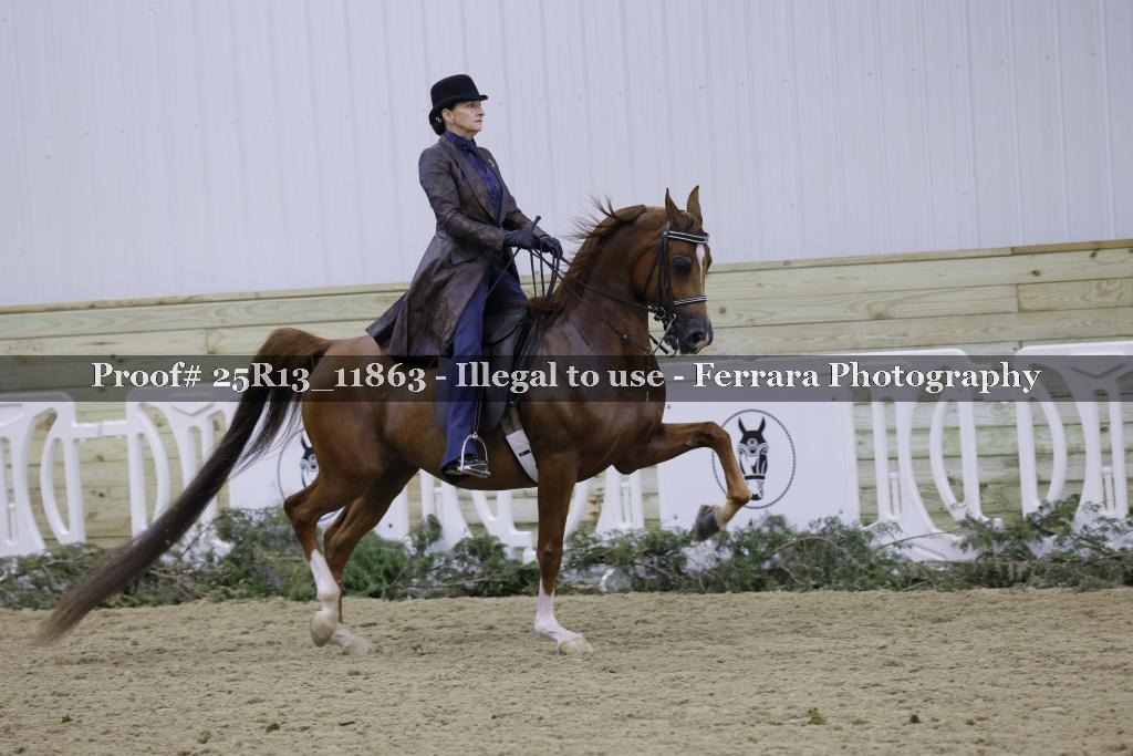 Proof 25R13_11863