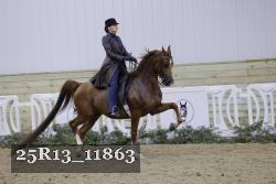 25R13_11863 proof