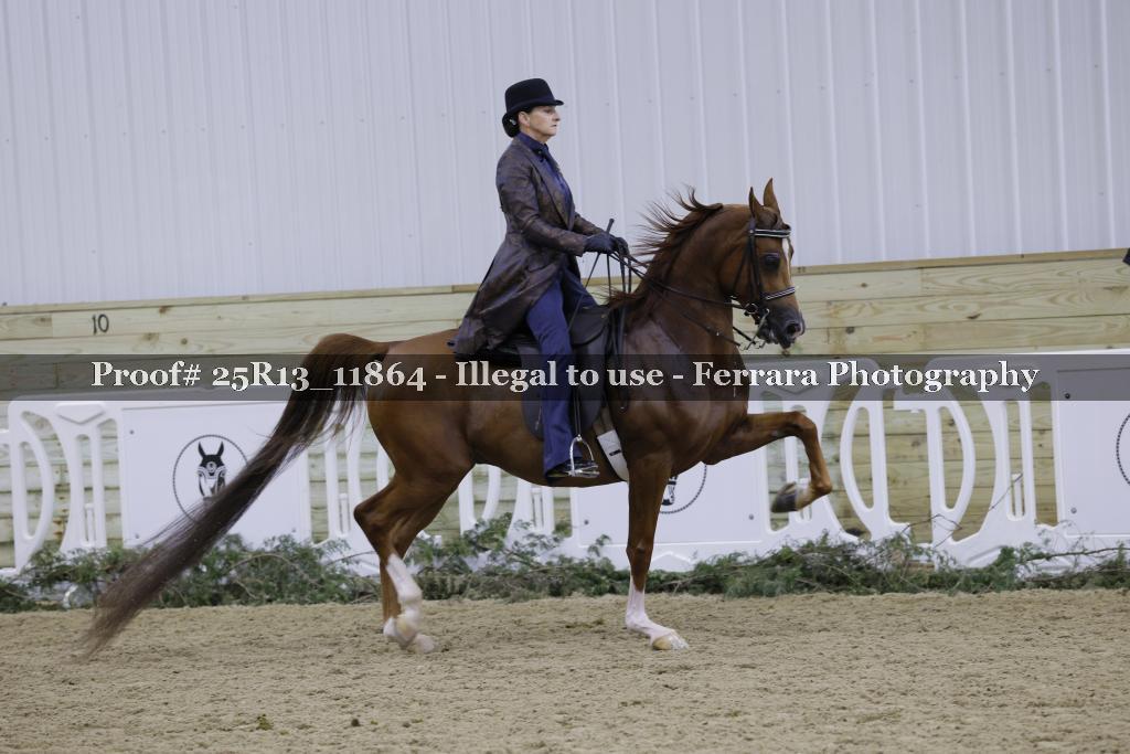 Proof 25R13_11864