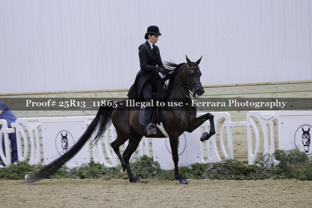 Proof 25R13_11865