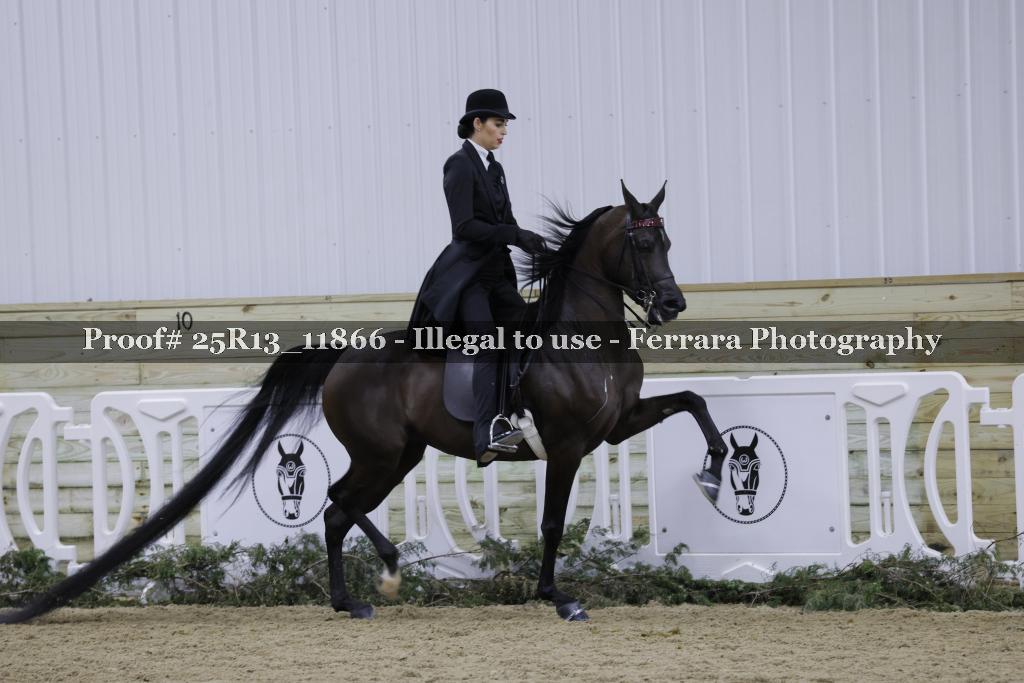 Proof 25R13_11866