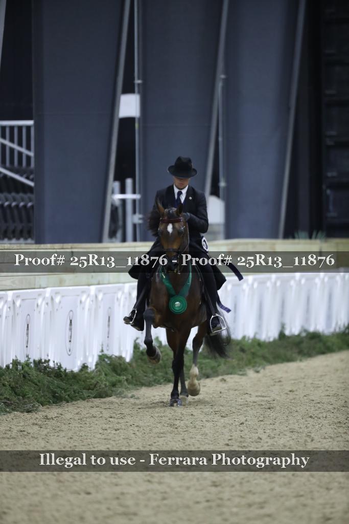 Proof 25R13_11876