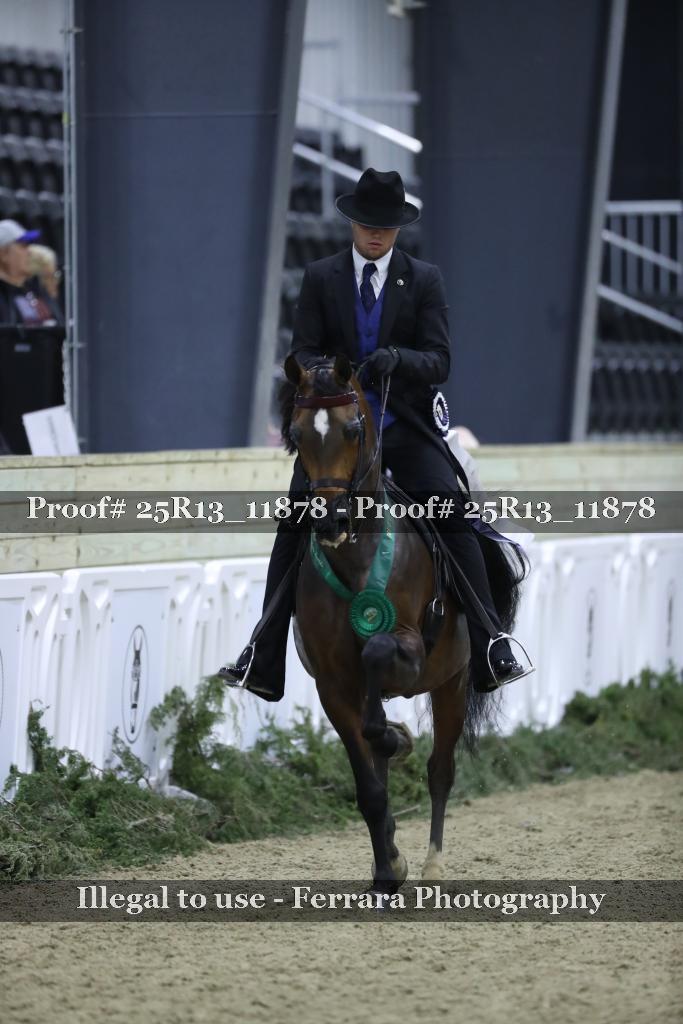 Proof 25R13_11878