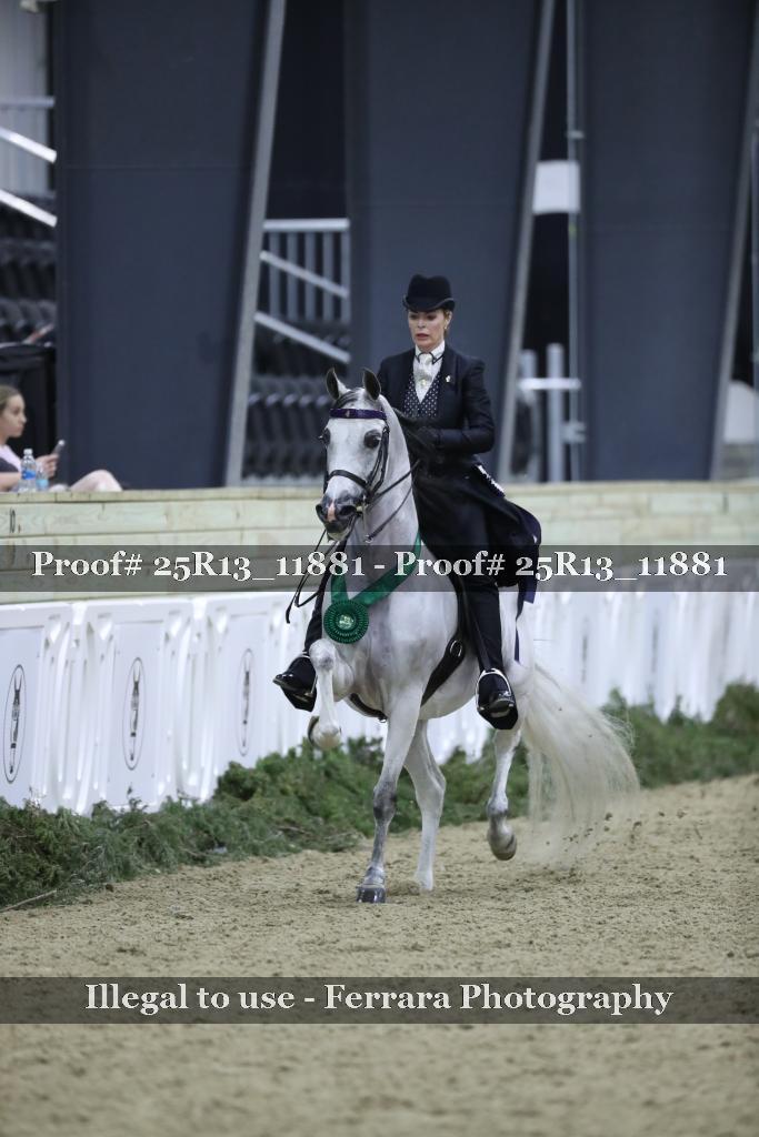 Proof 25R13_11881