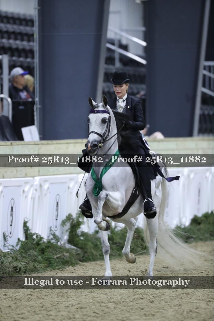 Proof 25R13_11882