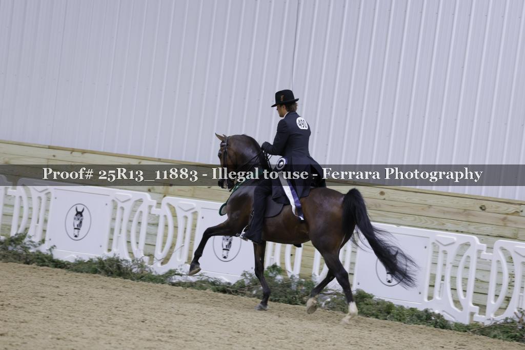 Proof 25R13_11883