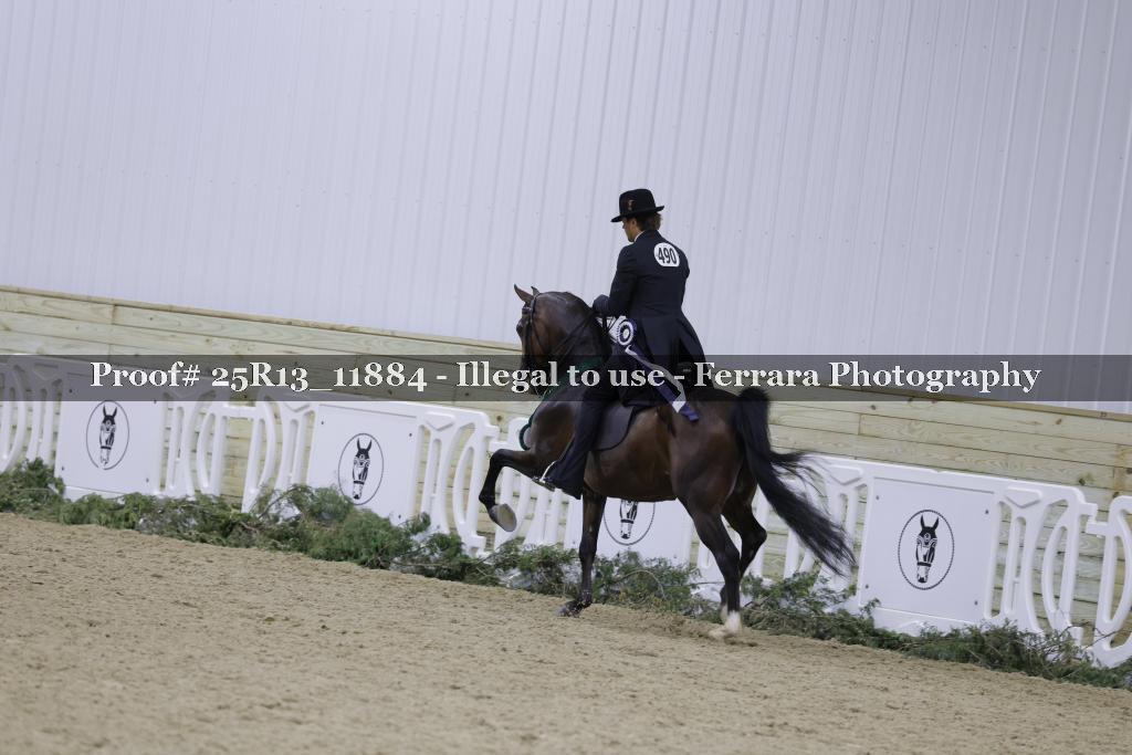 Proof 25R13_11884