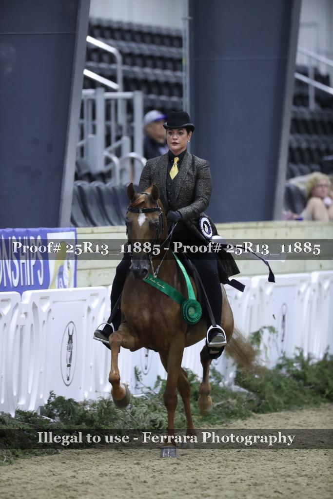 Proof 25R13_11885