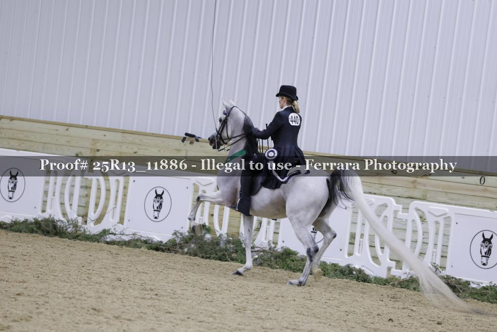 Proof 25R13_11886