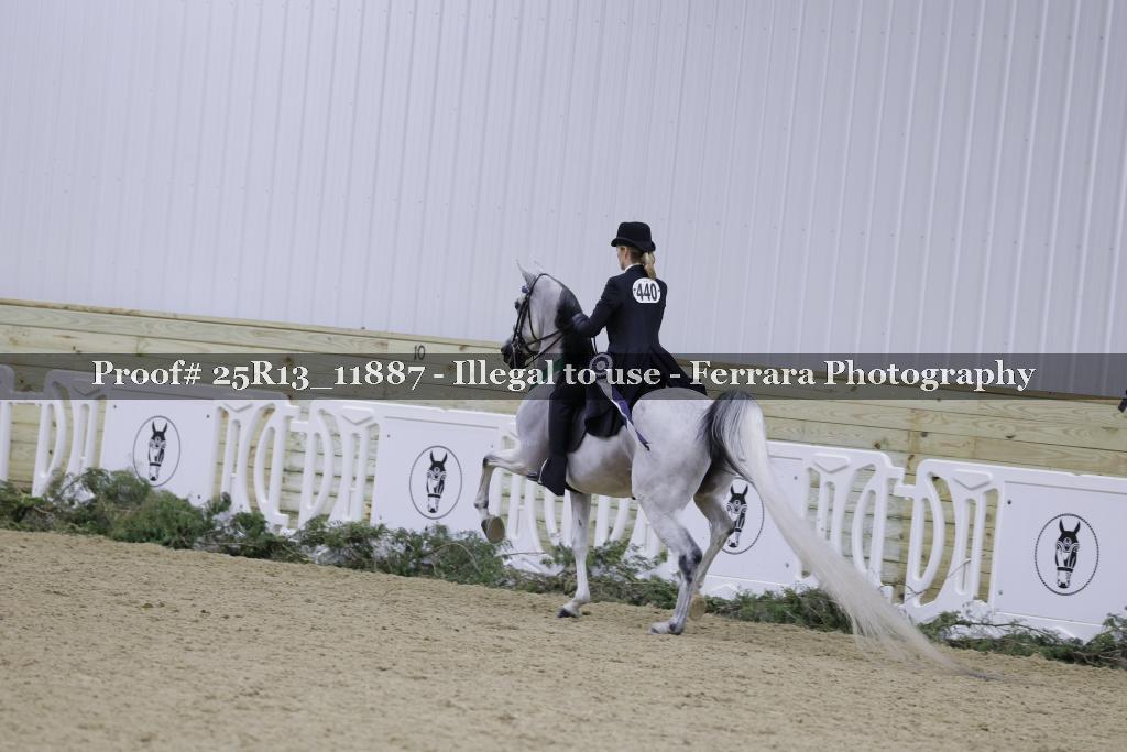 Proof 25R13_11887