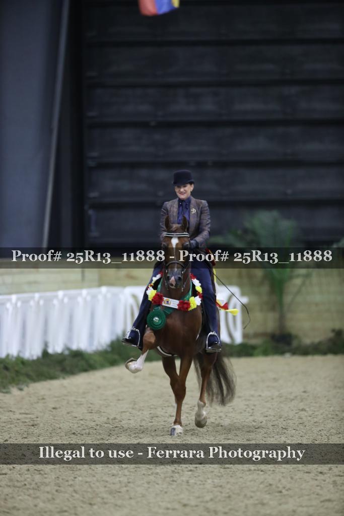 Proof 25R13_11888
