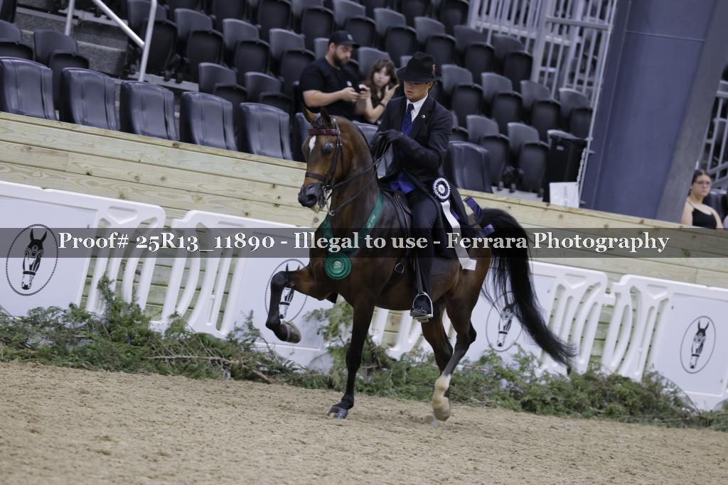 Proof 25R13_11890