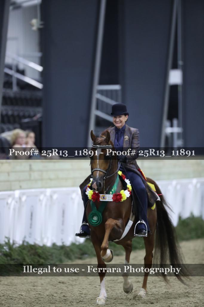 Proof 25R13_11891