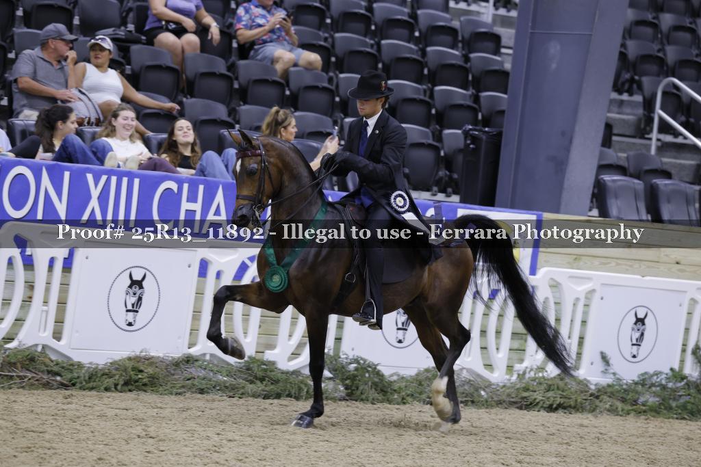 Proof 25R13_11892