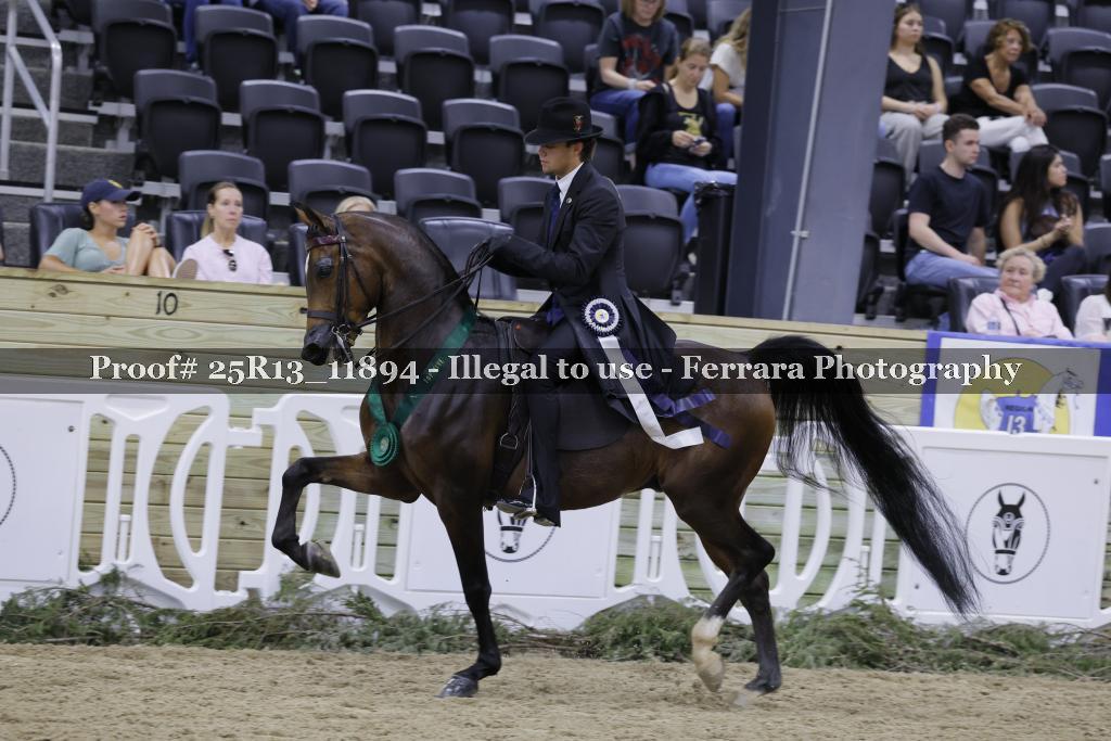 Proof 25R13_11894