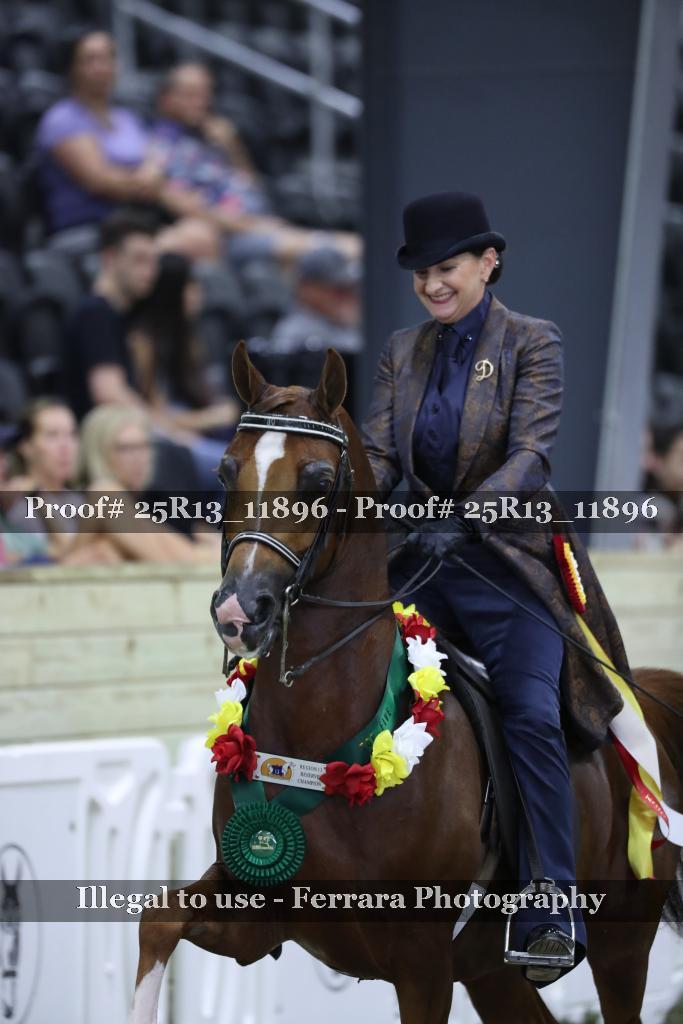 Proof 25R13_11896