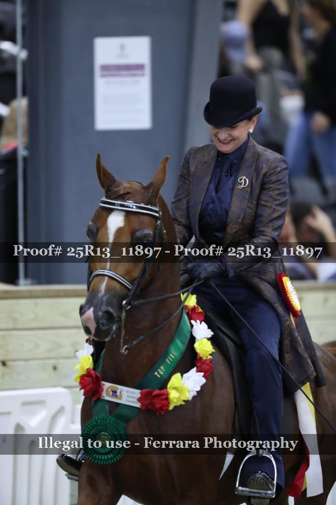 Proof 25R13_11897