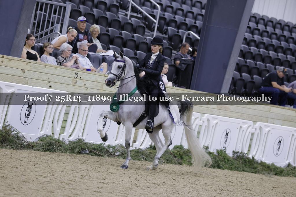 Proof 25R13_11899