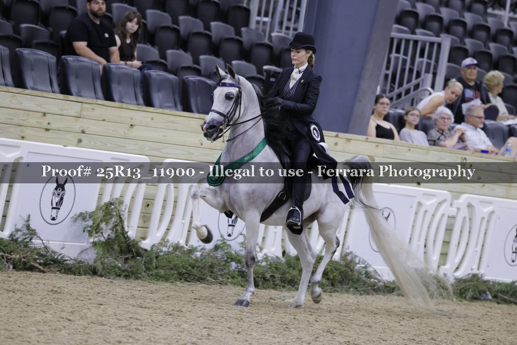 Proof 25R13_11900