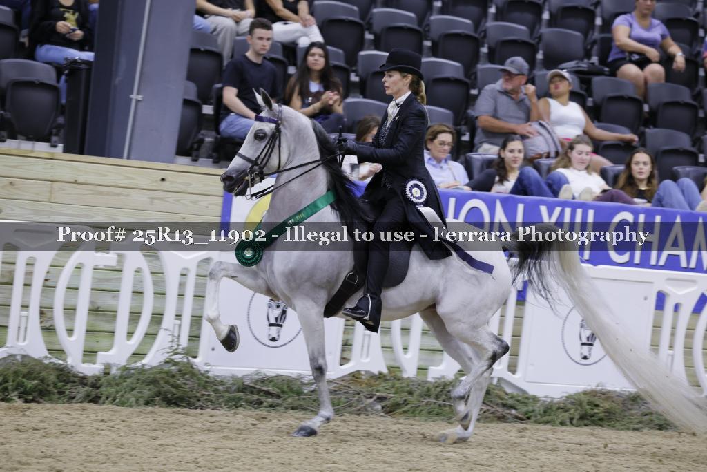 Proof 25R13_11902