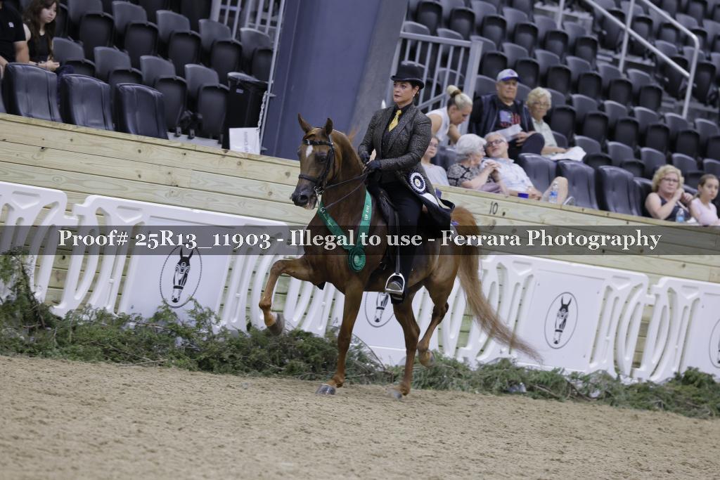 Proof 25R13_11903