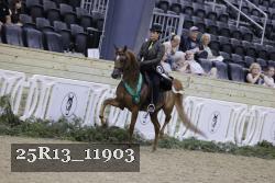25R13_11903 proof