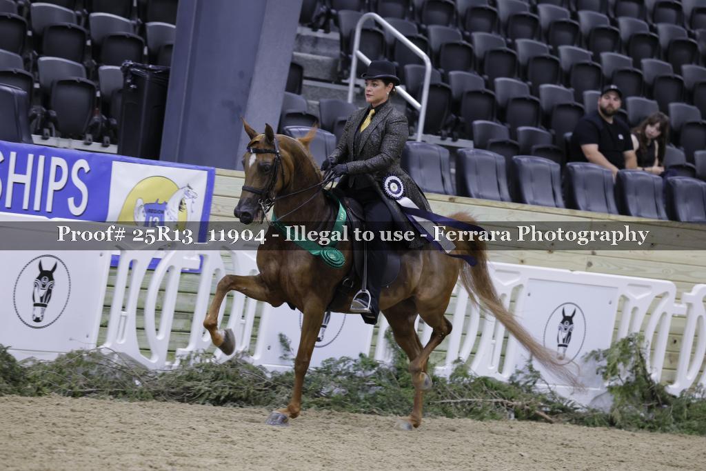 Proof 25R13_11904