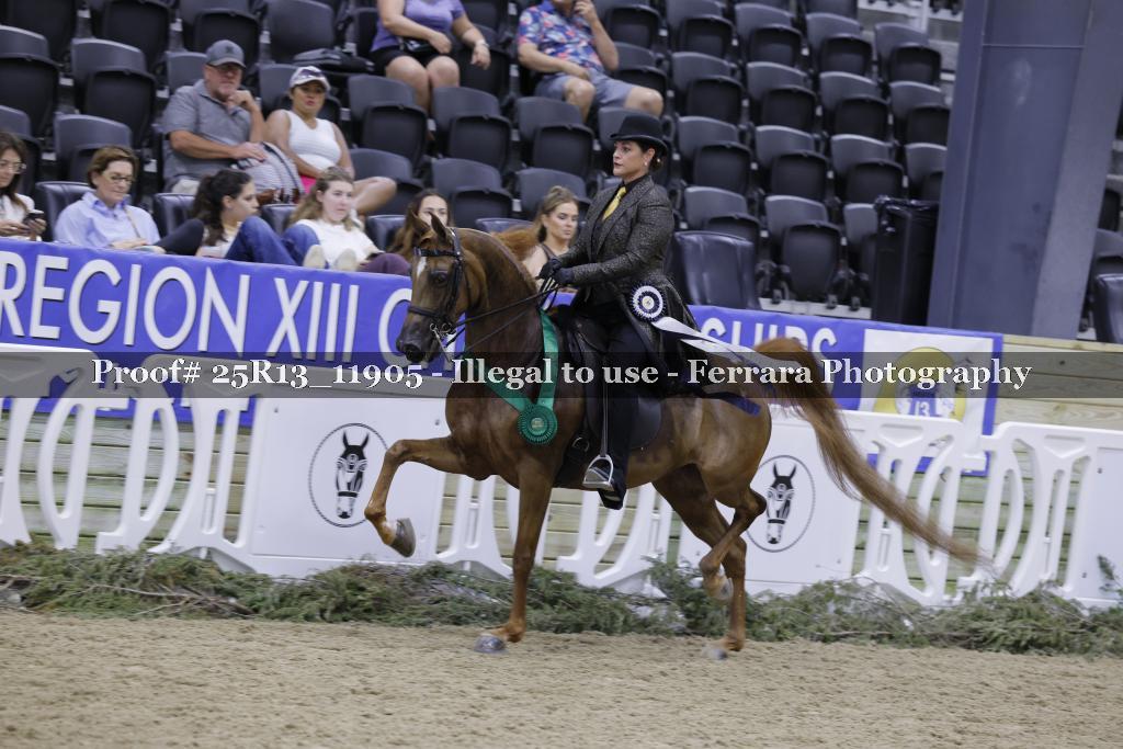 Proof 25R13_11905