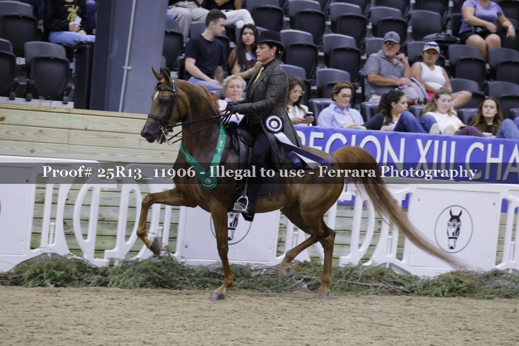Proof 25R13_11906