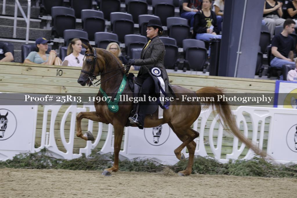 Proof 25R13_11907