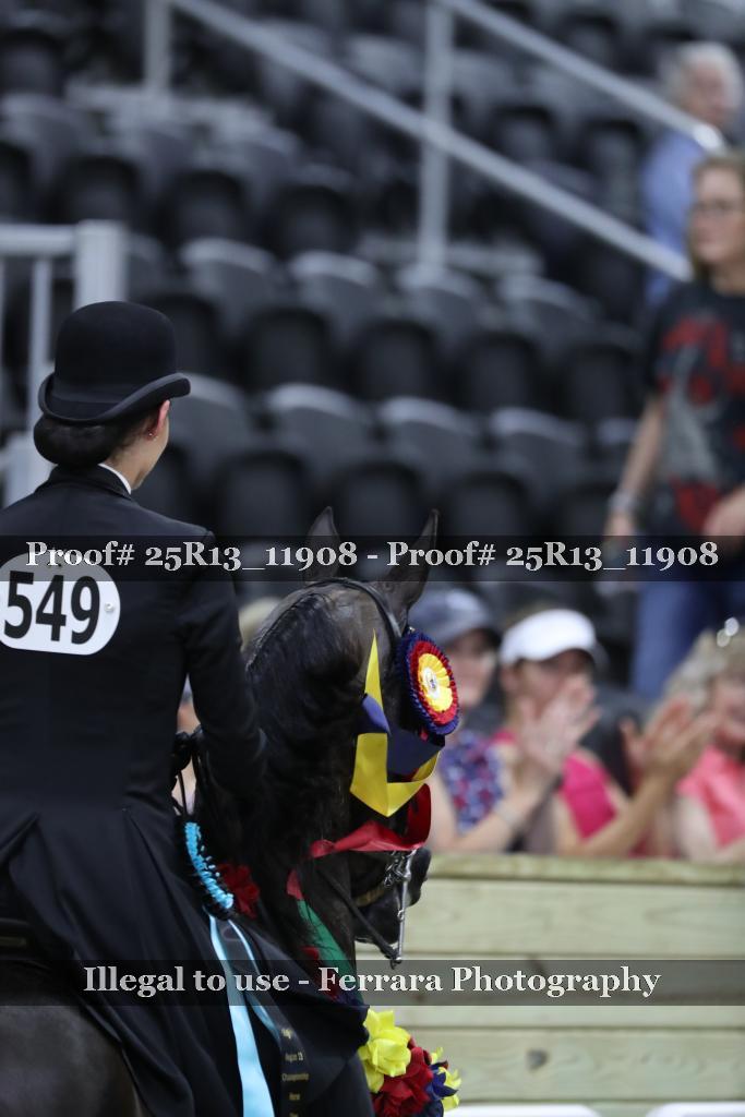 Proof 25R13_11908