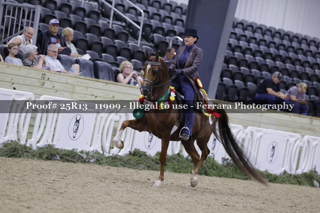 Proof 25R13_11909