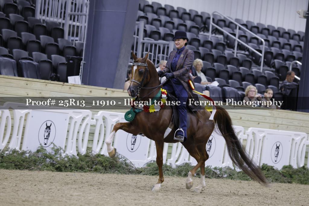 Proof 25R13_11910