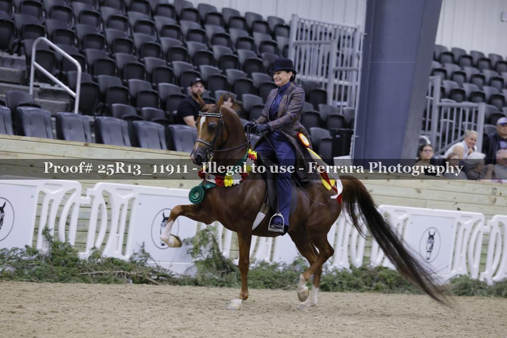 Proof 25R13_11911
